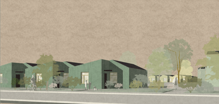 Mofo och white utvecklar amazoniten i heden